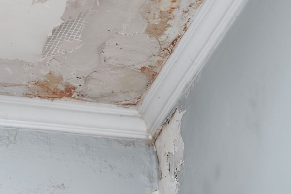 Water Damage Repairs Avon Brownsburg Carmel Danville Fishers Greenwood Indianapolis Mooresville Plainfield Zionsville