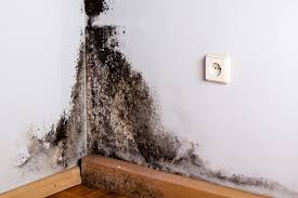 Mold Growth in the Home